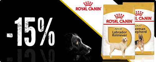  -15 % sur Royal Canin Breed pour chien